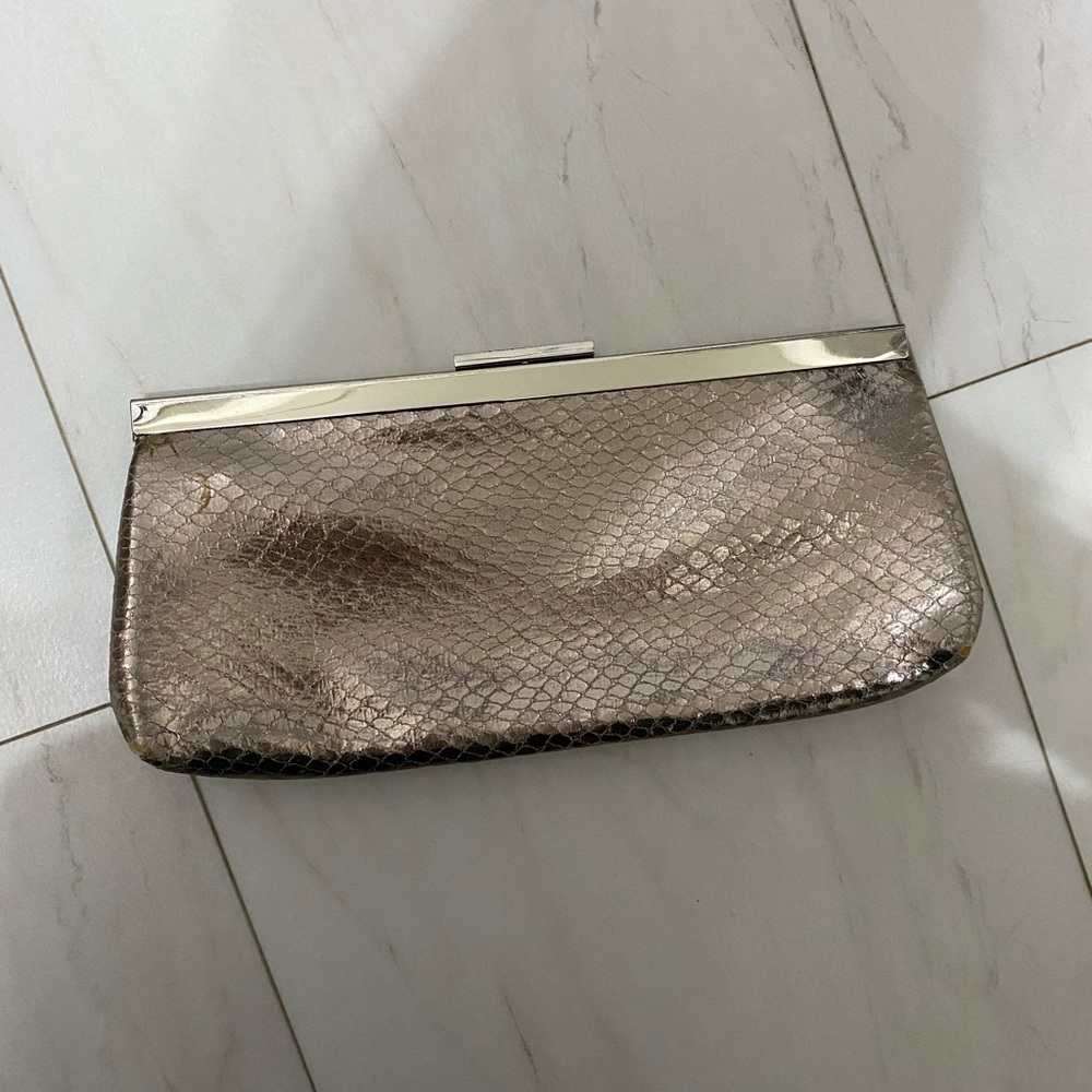 Elegant Metallic Clutch